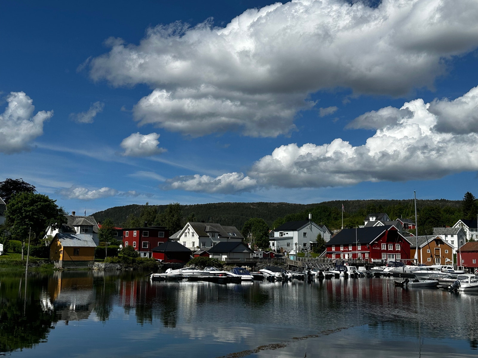 RÅKVÅG Galleribilde