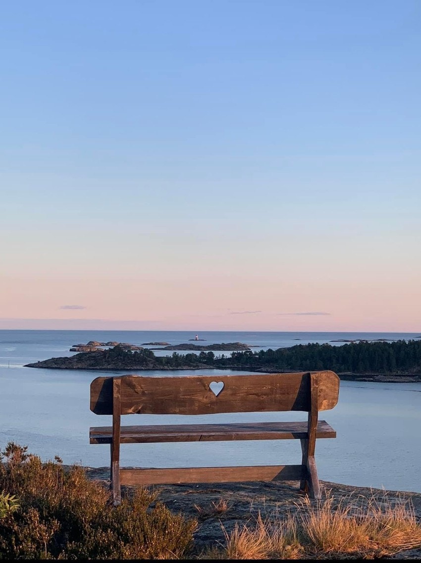 Med et rikt dyreliv og en mangfoldig flora er Borøya et paradis for naturelskere og turgåere. Galleribilde