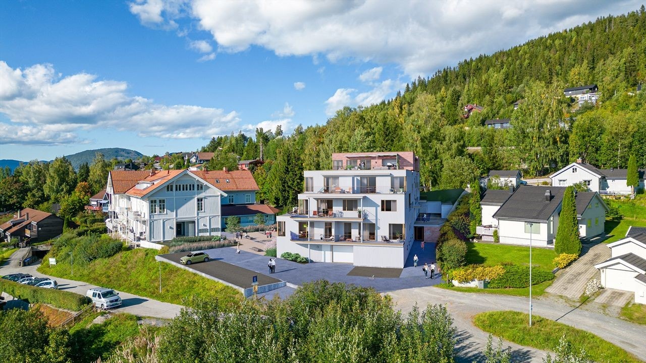 Langseth Galleribilde