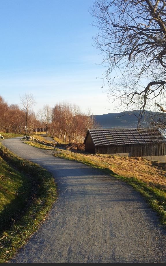 Ikke langt unna ligger fjordstien Galleribilde