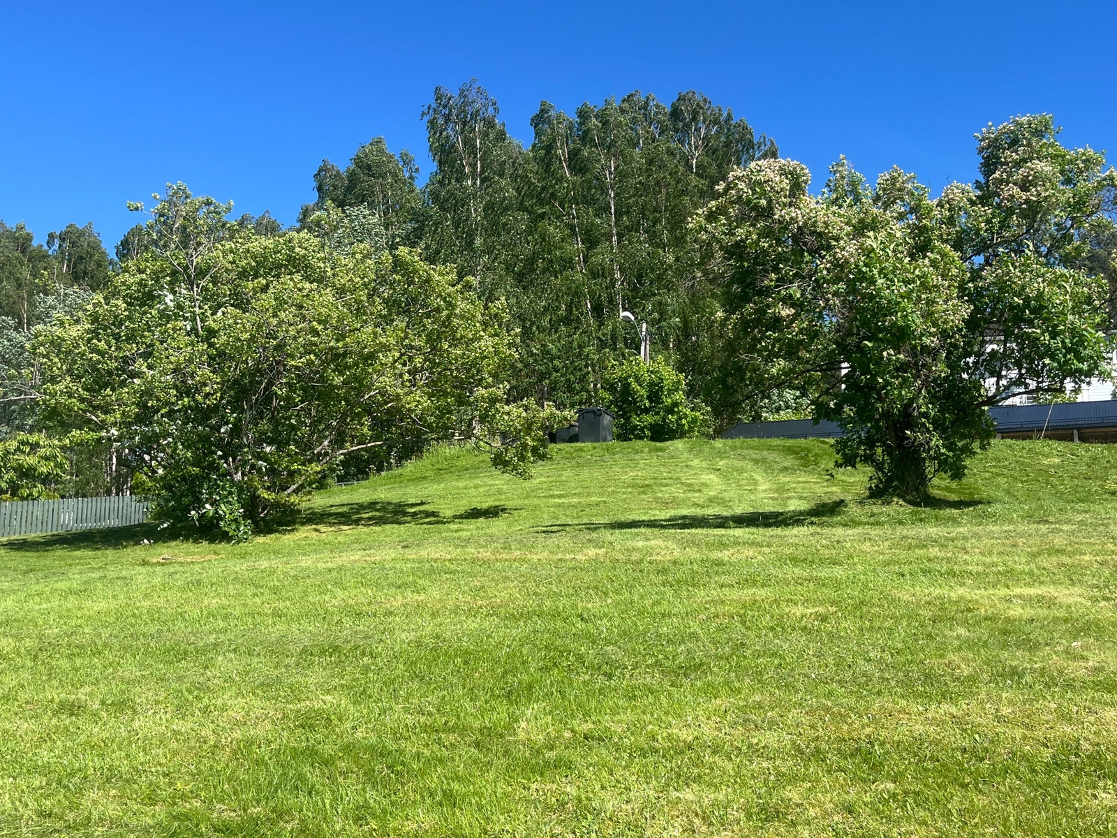 Stoor hage Galleribilde