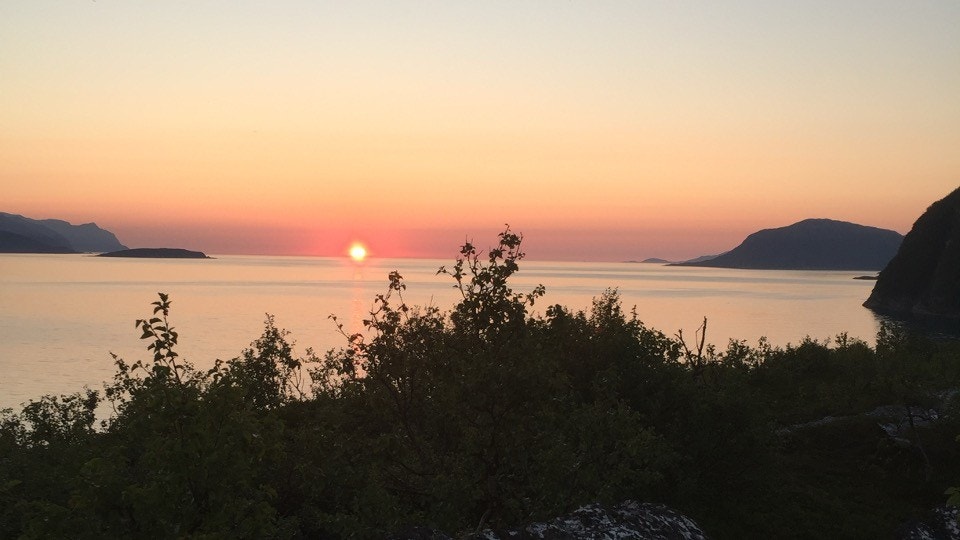 Midnattssol over Reisafjorden.
Midnight sun in the Reisafjord. Galleribilde