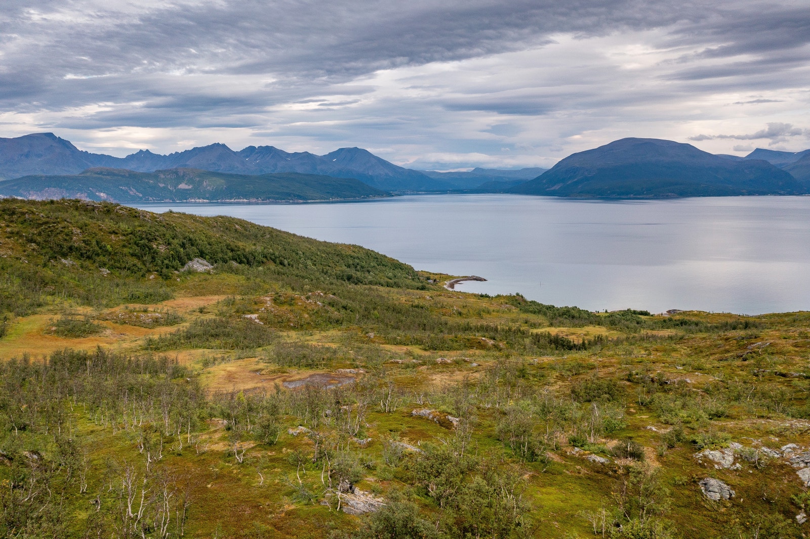Utsikt ned mot Finnbybukta Galleribilde