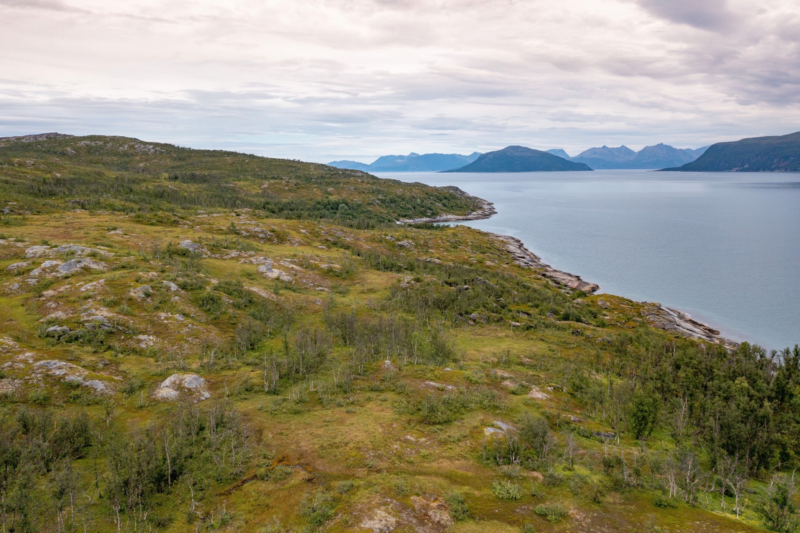 Utsikt utover mot Seglnesbukta Galleribilde