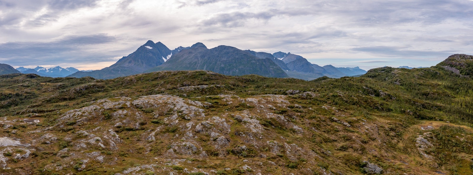 Toppen av Maurneset, mot Kågfjellan.
The top of the Maurneset peninsula, towards the Kågfjellan mountains. Galleribilde