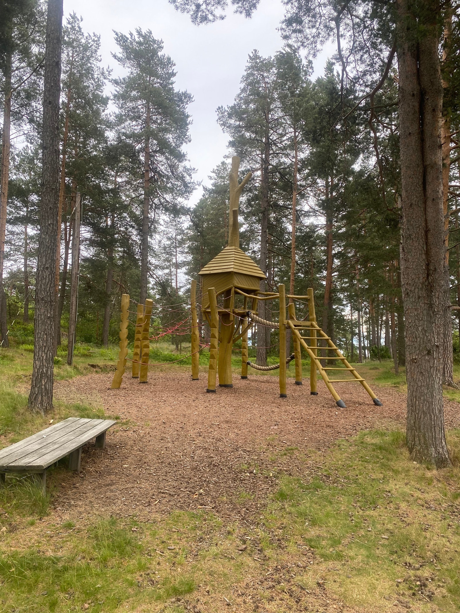 Klatreslott i skogen Galleribilde