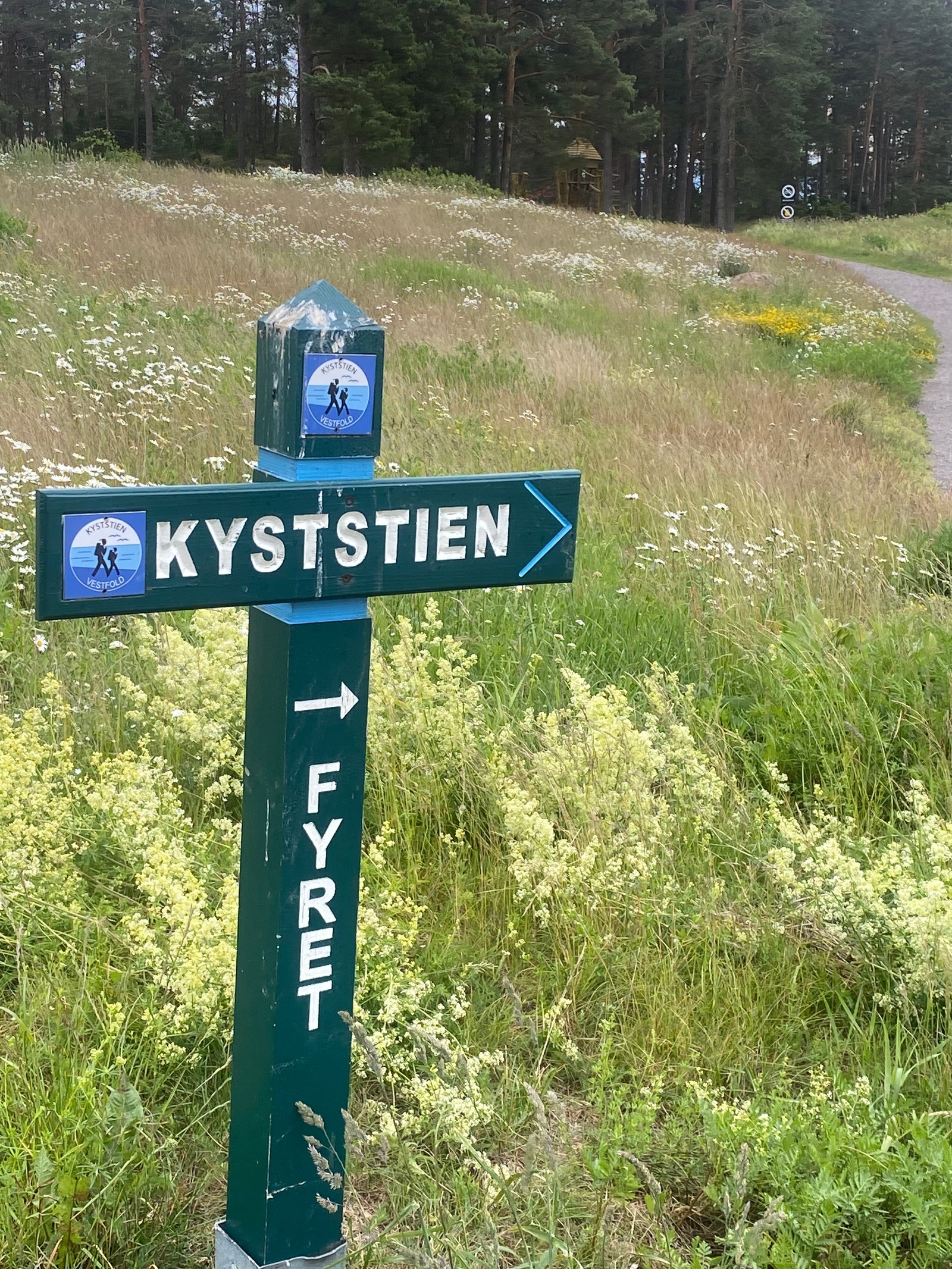 Fine turområder i umiddelbar nærhet Galleribilde