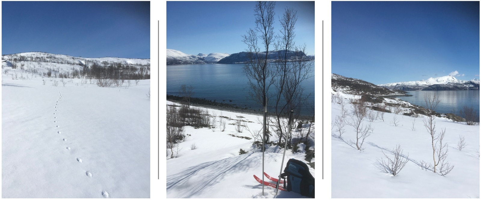 Flott skiterreng.
Great conditions for skiing Galleribilde