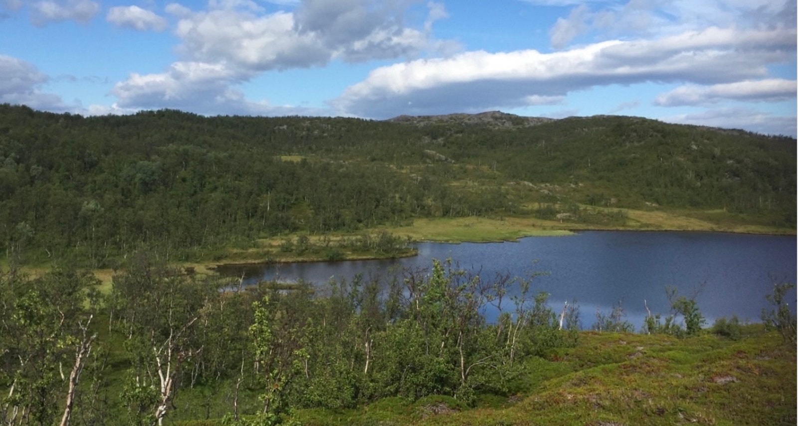 Del av Seglnesvatnet.
A part of Lake Seglnesvatnet. Galleribilde