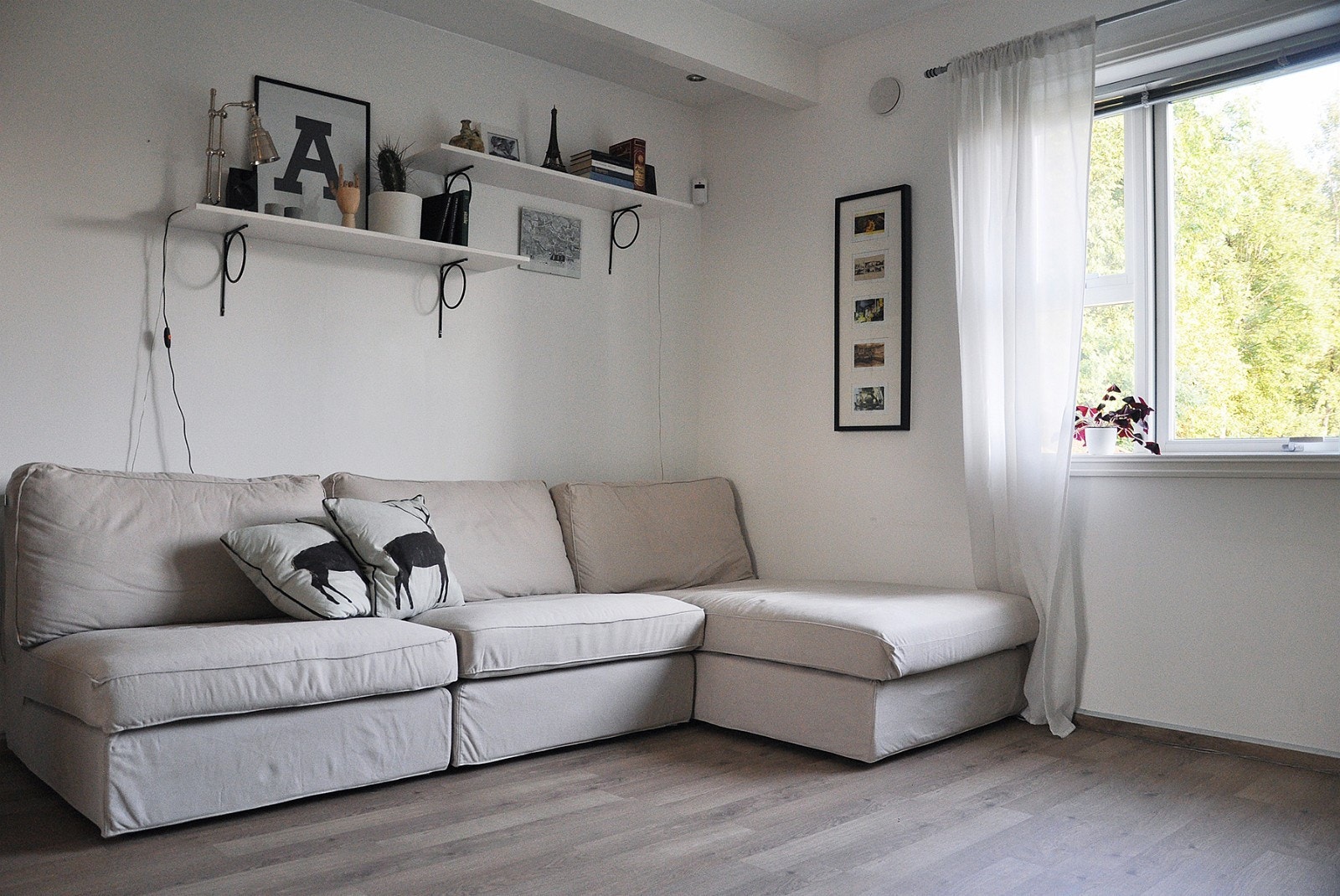 Stuen med sørvendt vindu Galleribilde