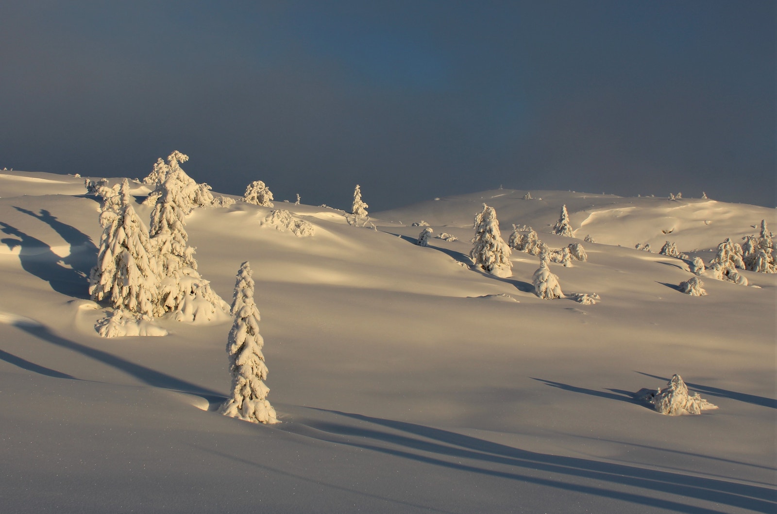 Rjupeto Galleribilde