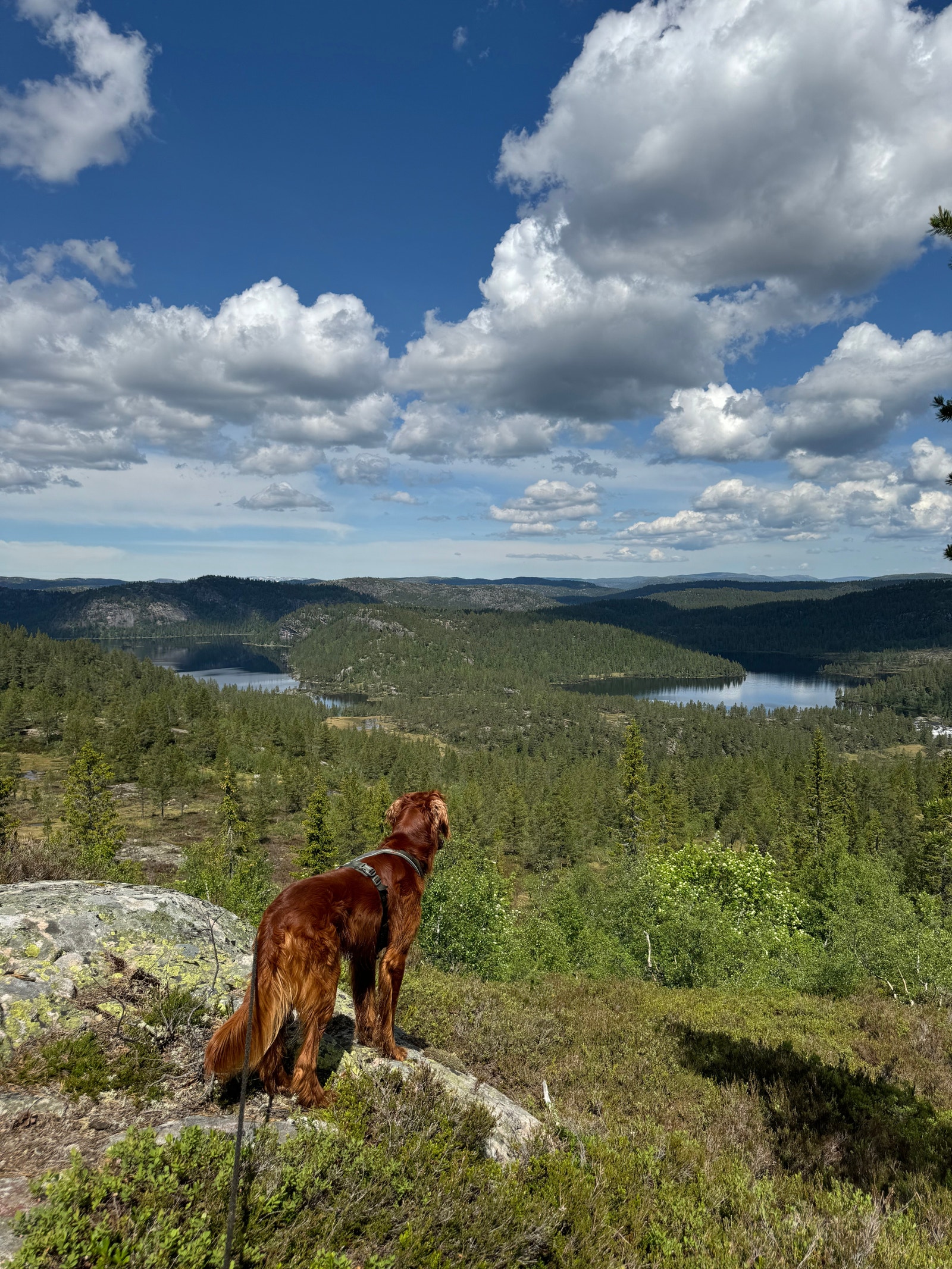Mange vatn å fiske i, her Gjevarvatn og Ufsrjønn Galleribilde