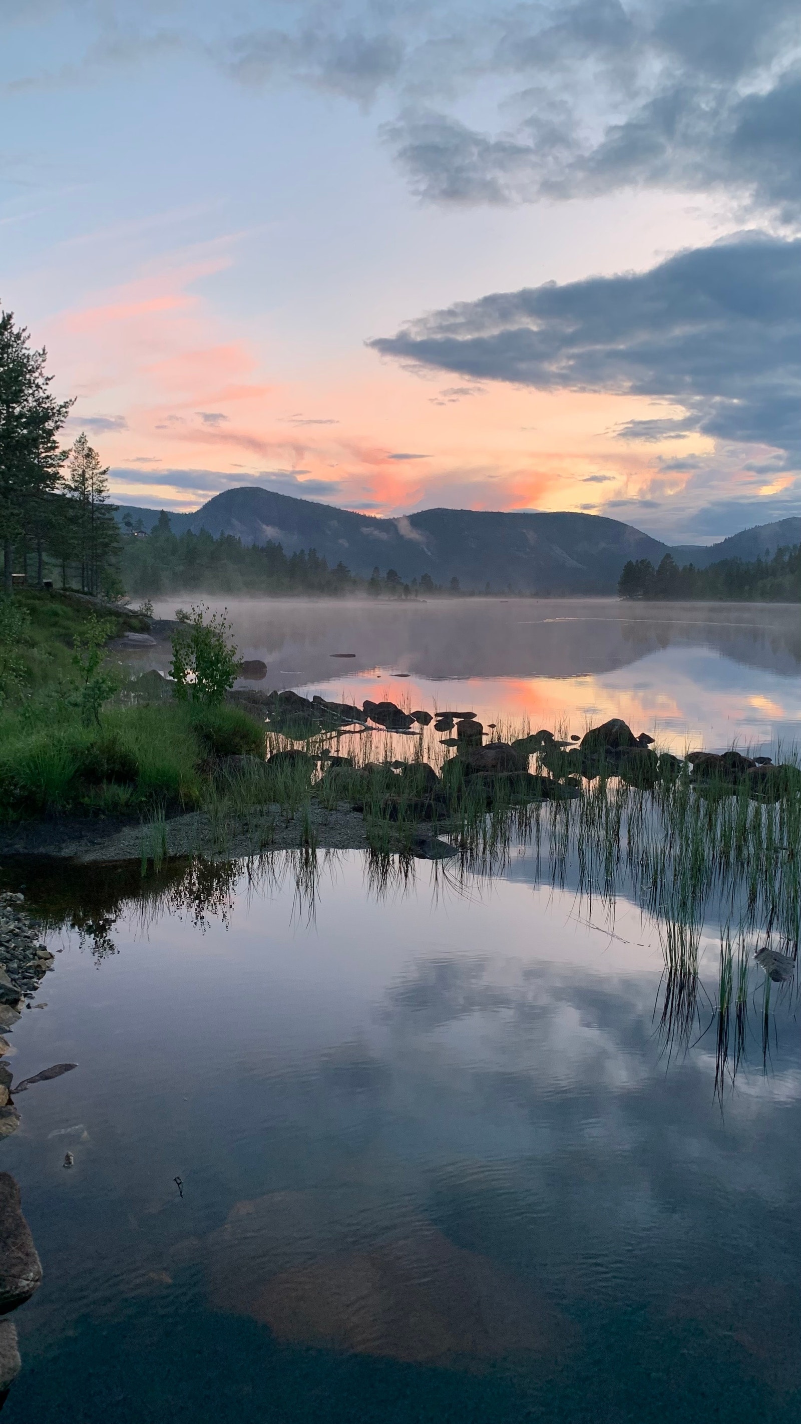 Rett ved ledig tomt i Fisketjønn Galleribilde