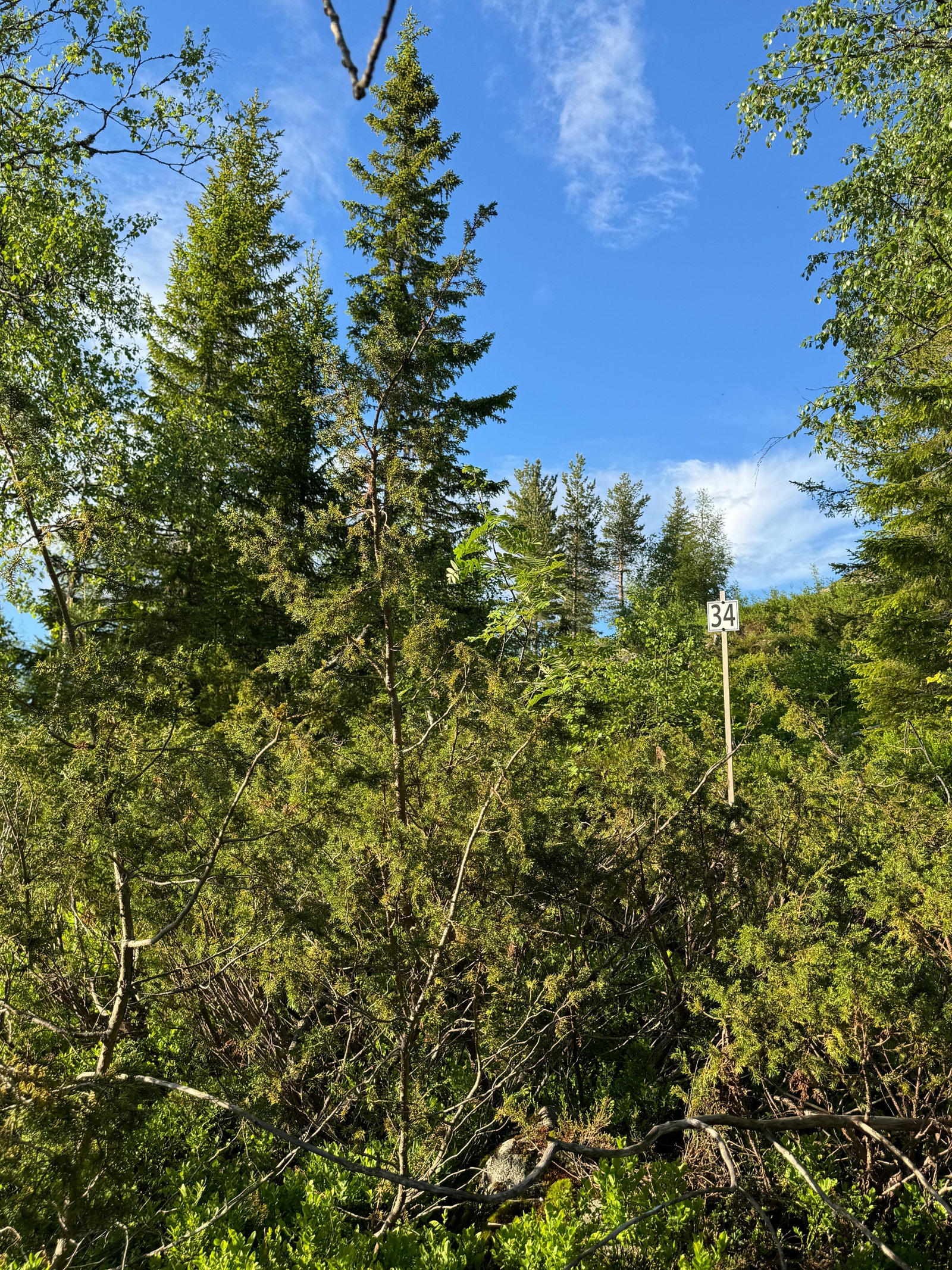 Birte 34 Galleribilde