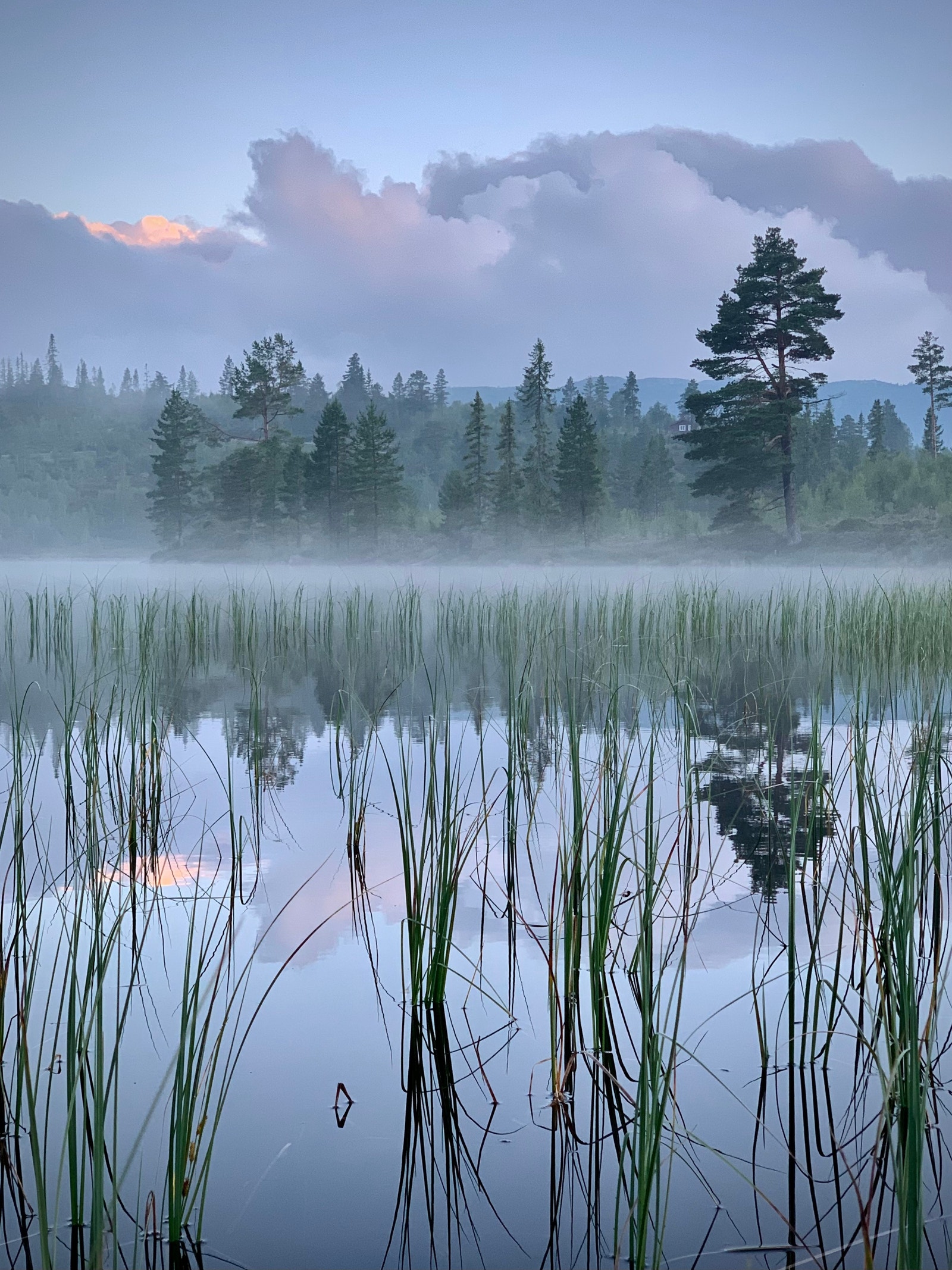 I Osen av Birtevatn Galleribilde