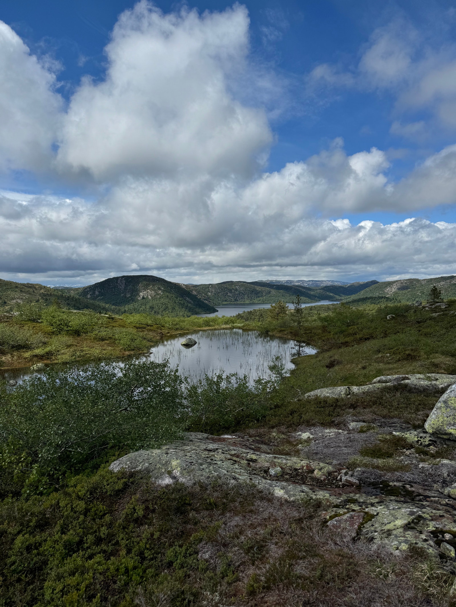 Frå Hobufjell, mot Mjåvatn Galleribilde