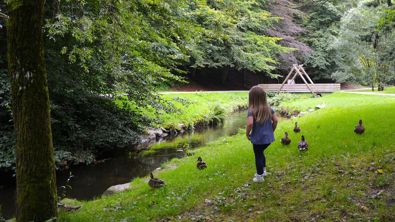 Sandvedparken byr på flotte turstier og flott natur Galleribilde