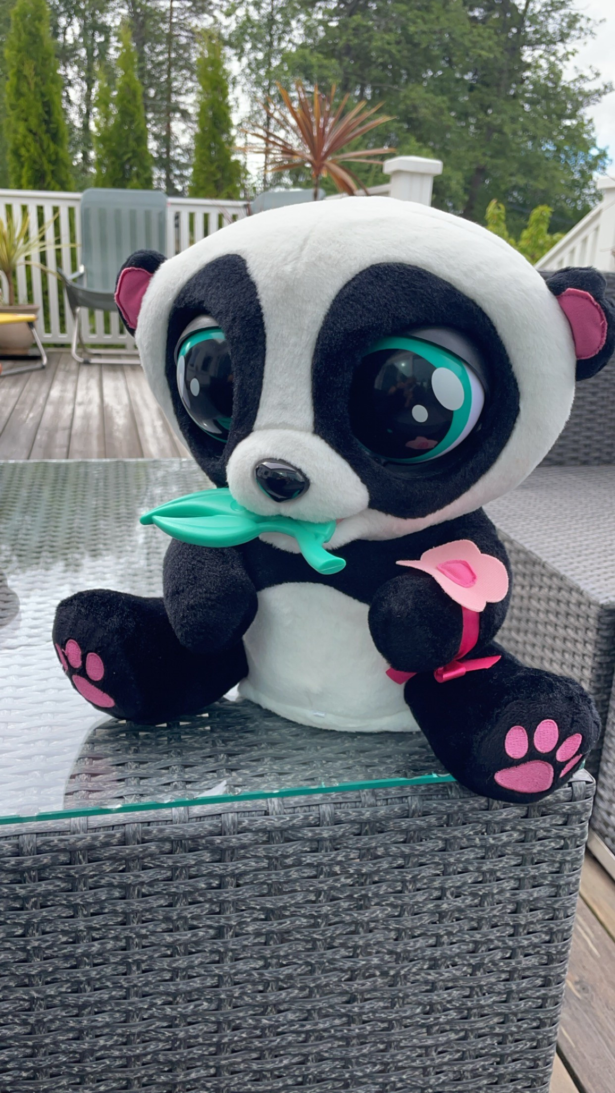 Club petz panda deals