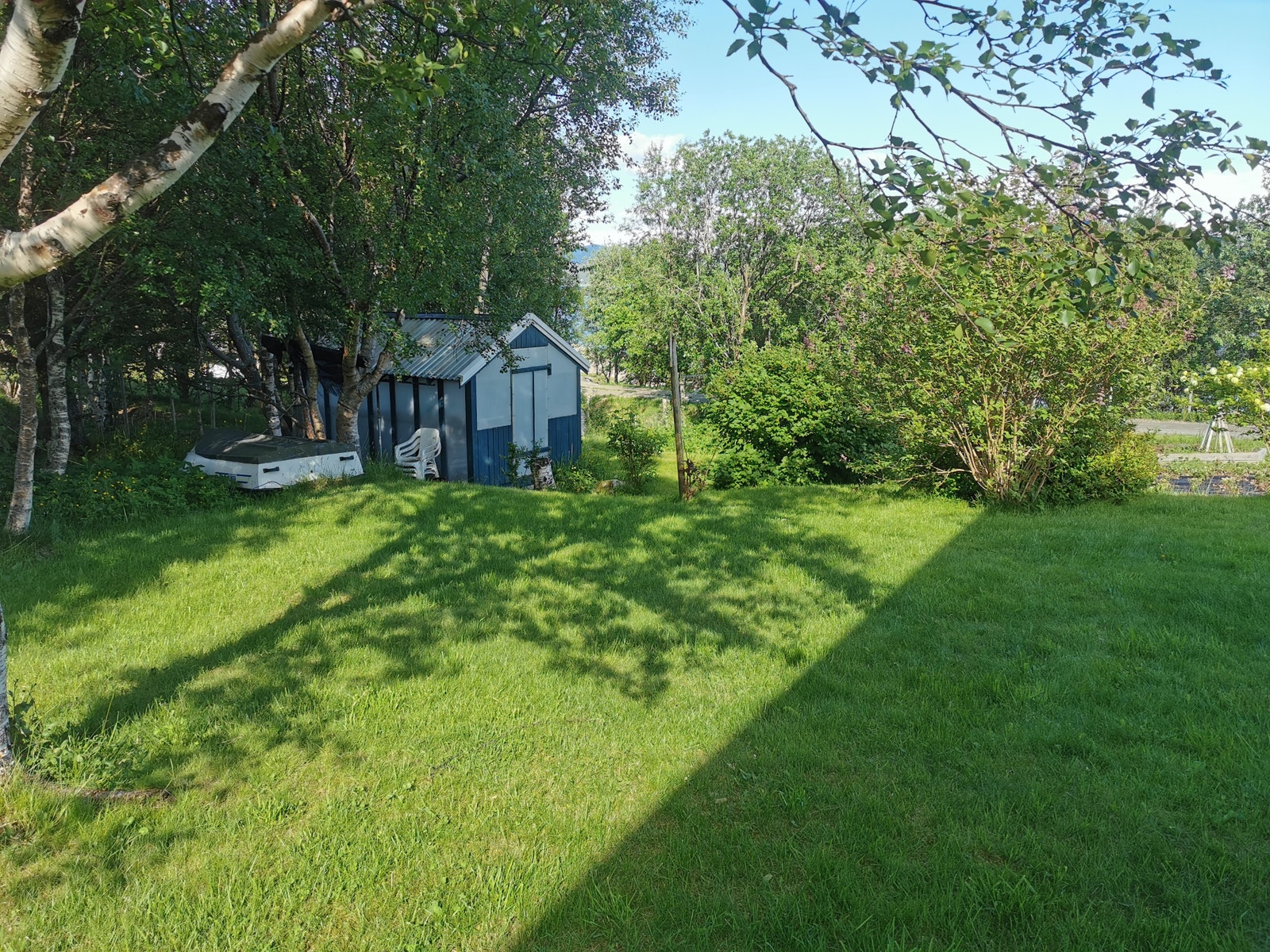 Drivhuset. Galleribilde