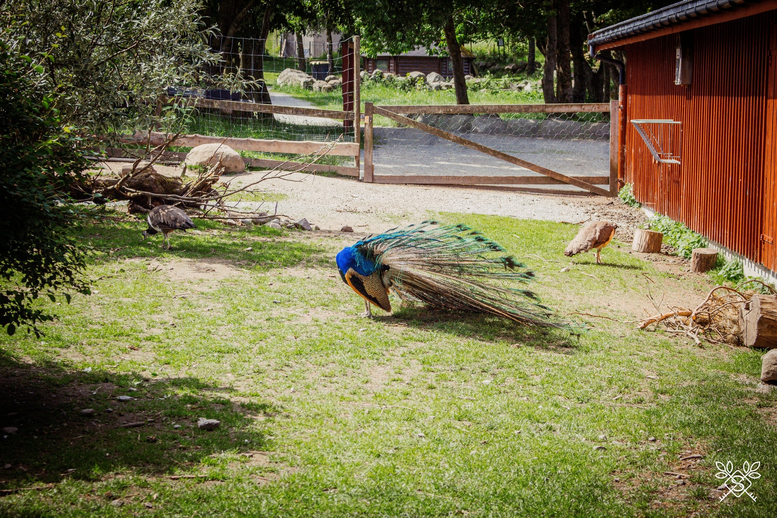 Gausel fritidsgård ligger en kort spasertur unna Slettmyrholtet Galleribilde