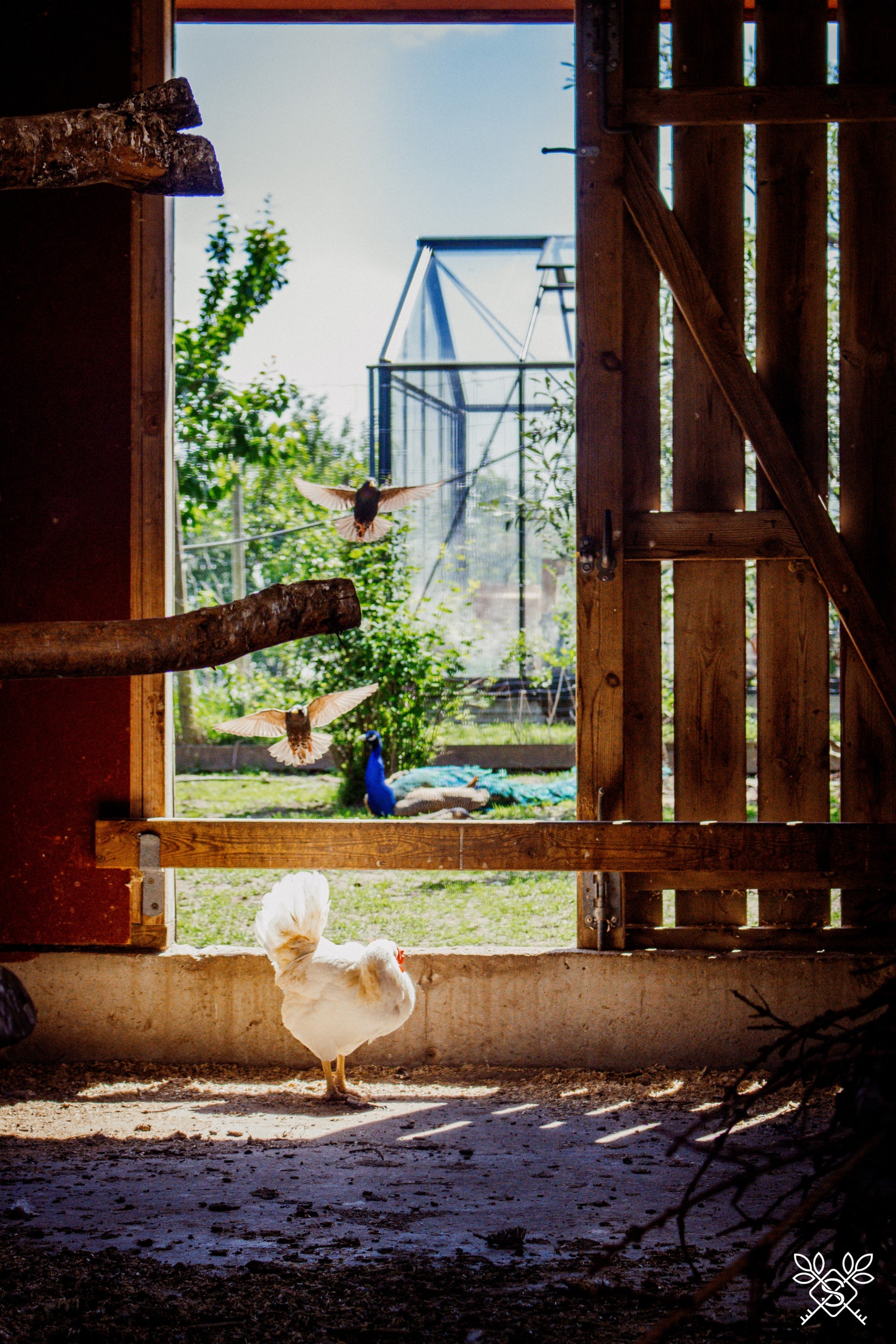 Ta turen til familiefavoritten Gausel fritidsgård som ligger i nærområdet. Galleribilde