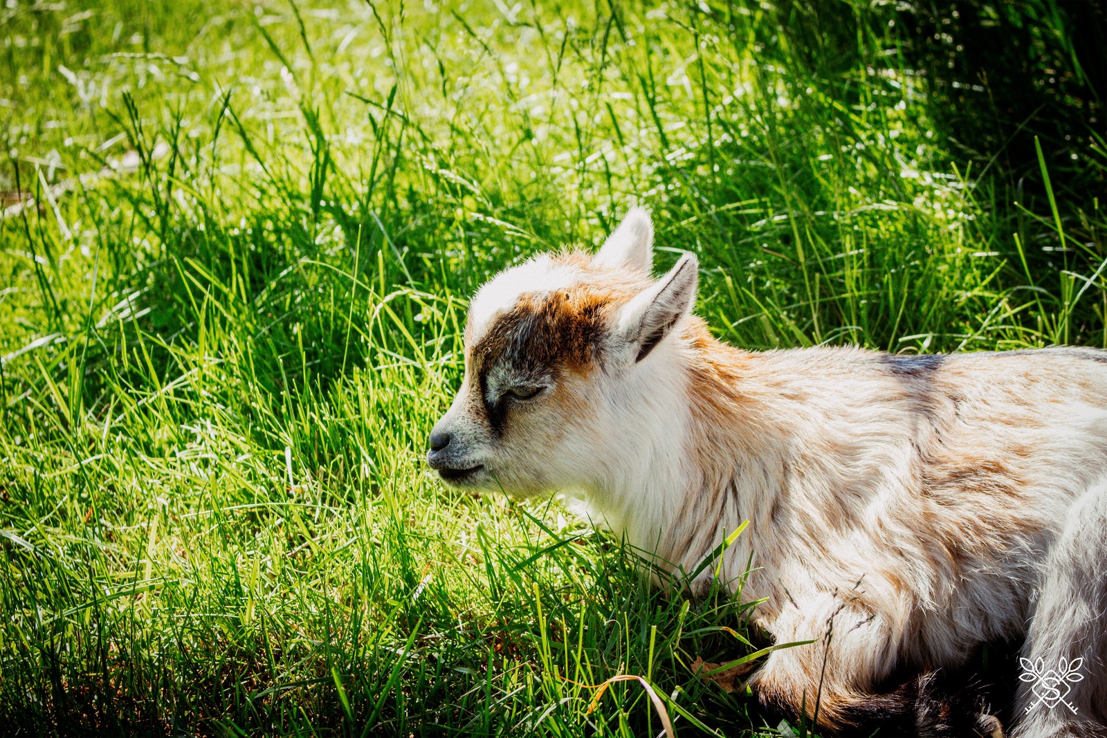Gausel fritidsgård ligger en kort spasertur unna Slettmyrholtet Galleribilde