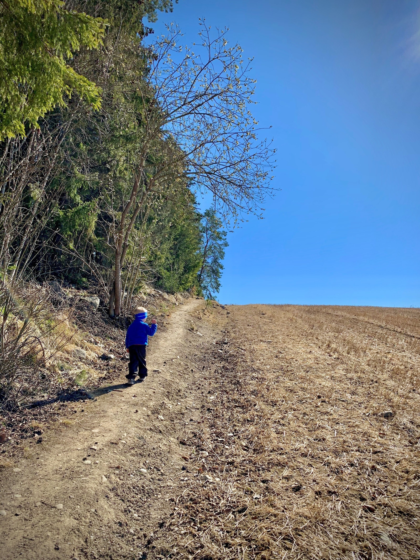 Det er veldig fine turmuligheter på Ingeberg. Galleribilde
