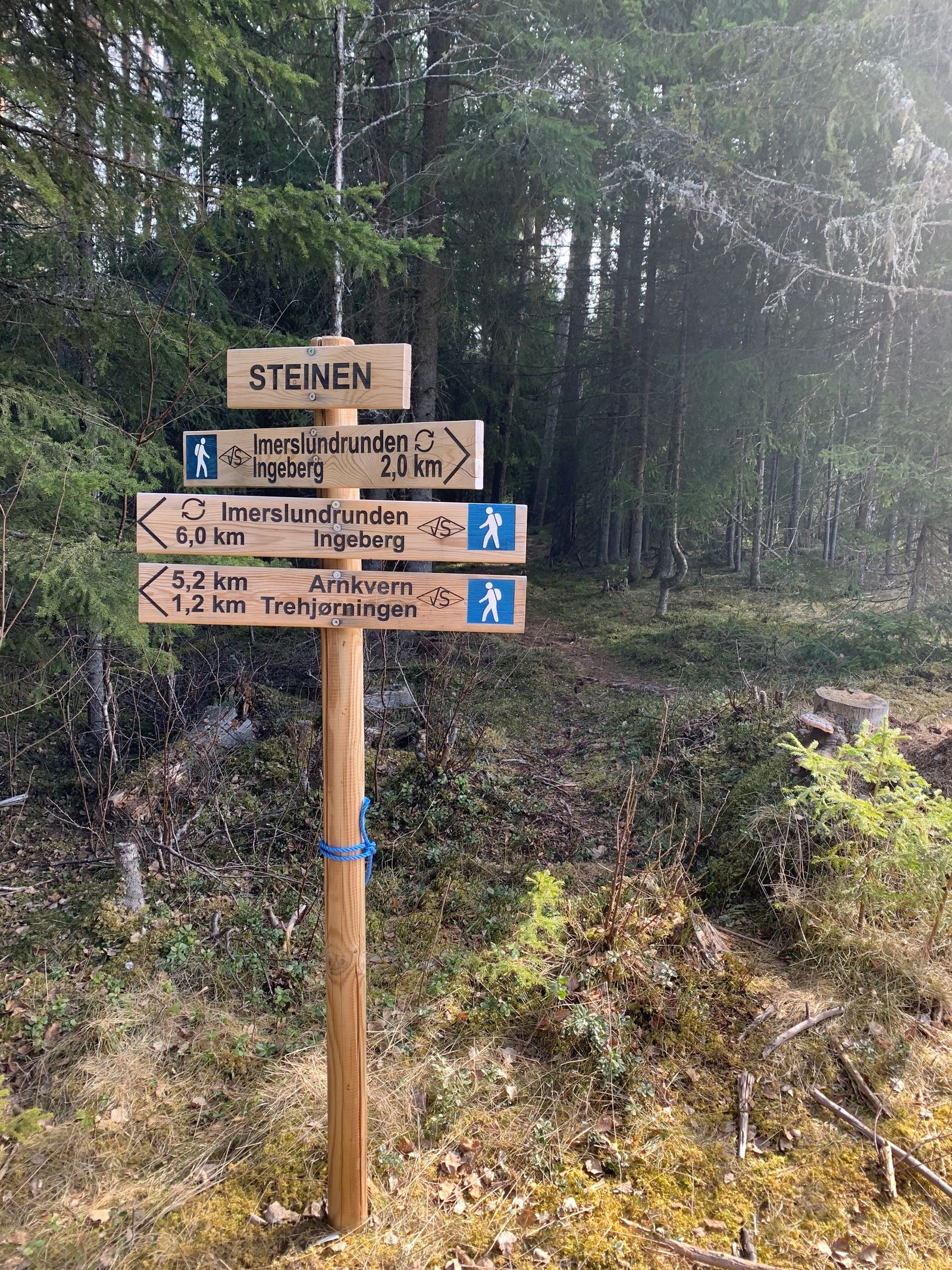 Det er veldig fine turmuligheter på Ingeberg. Galleribilde