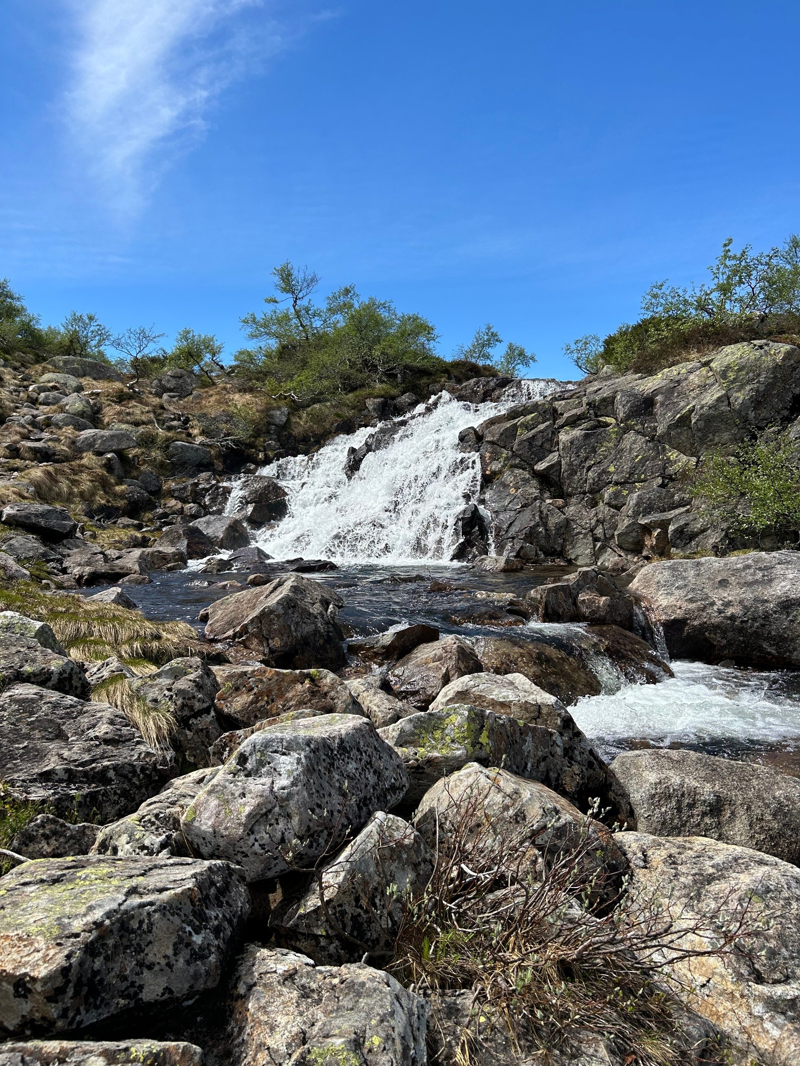 Nærområde Galleribilde