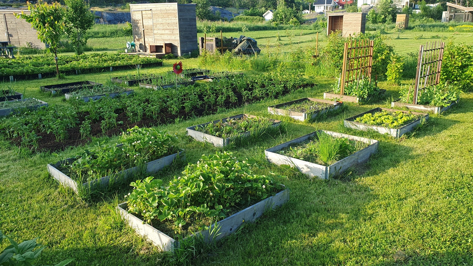 Parsellhager Galleribilde