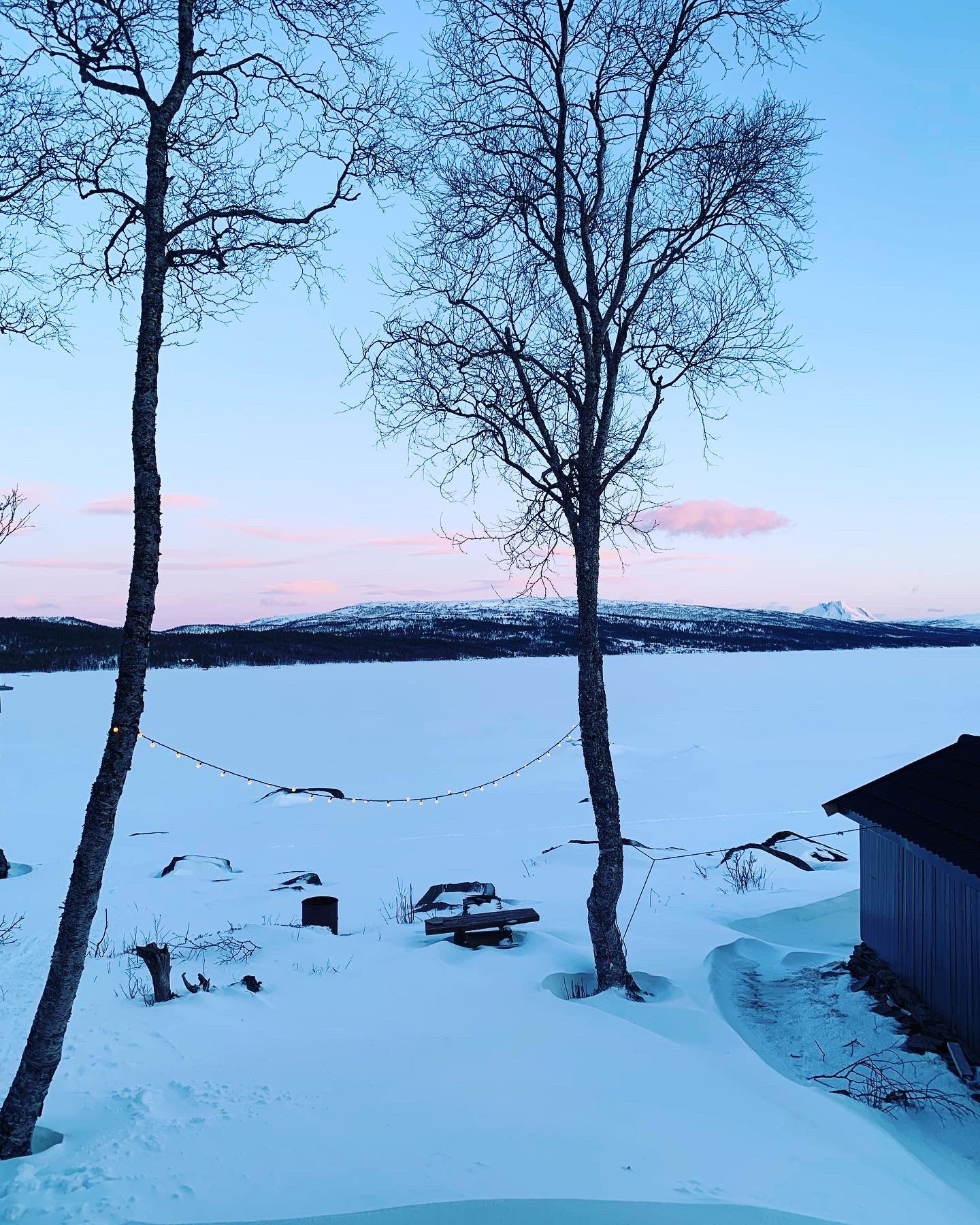 Ettermiddagslys fra kjøkkenvinduet på vinteren Galleribilde