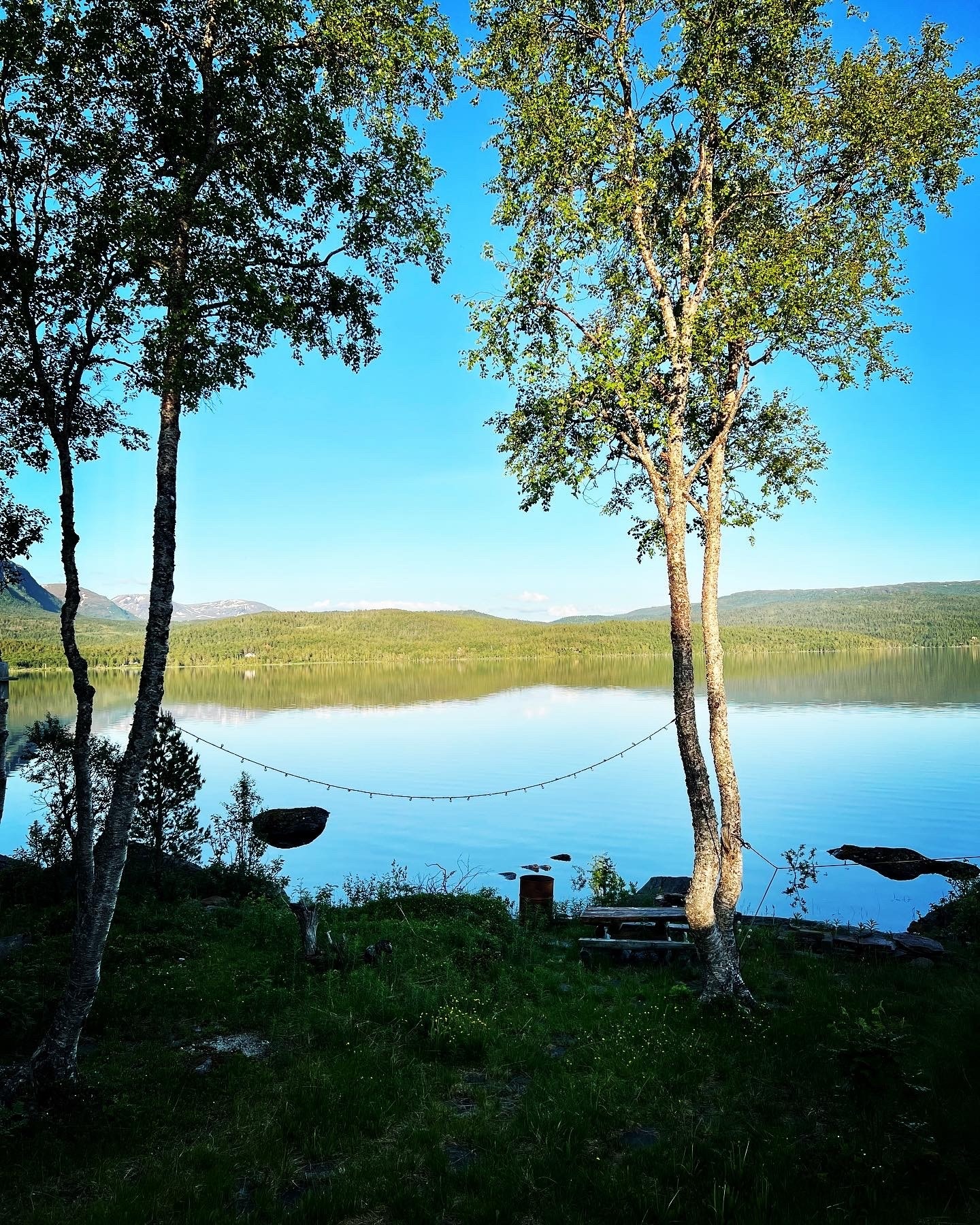 Idylliske sommerkvelder Galleribilde