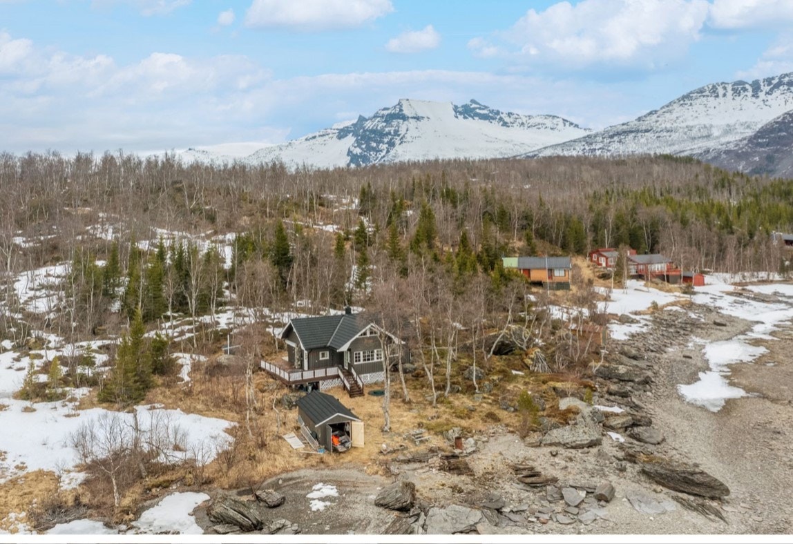 Oversiktsbilde Galleribilde