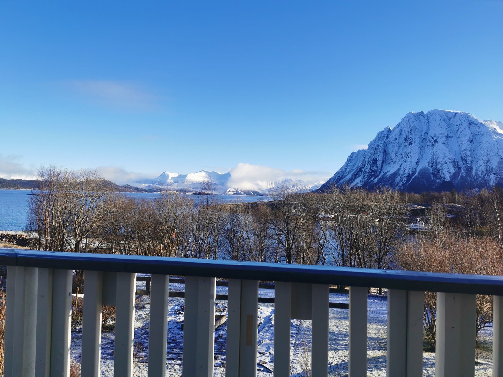 Vinterstemning. Galleribilde