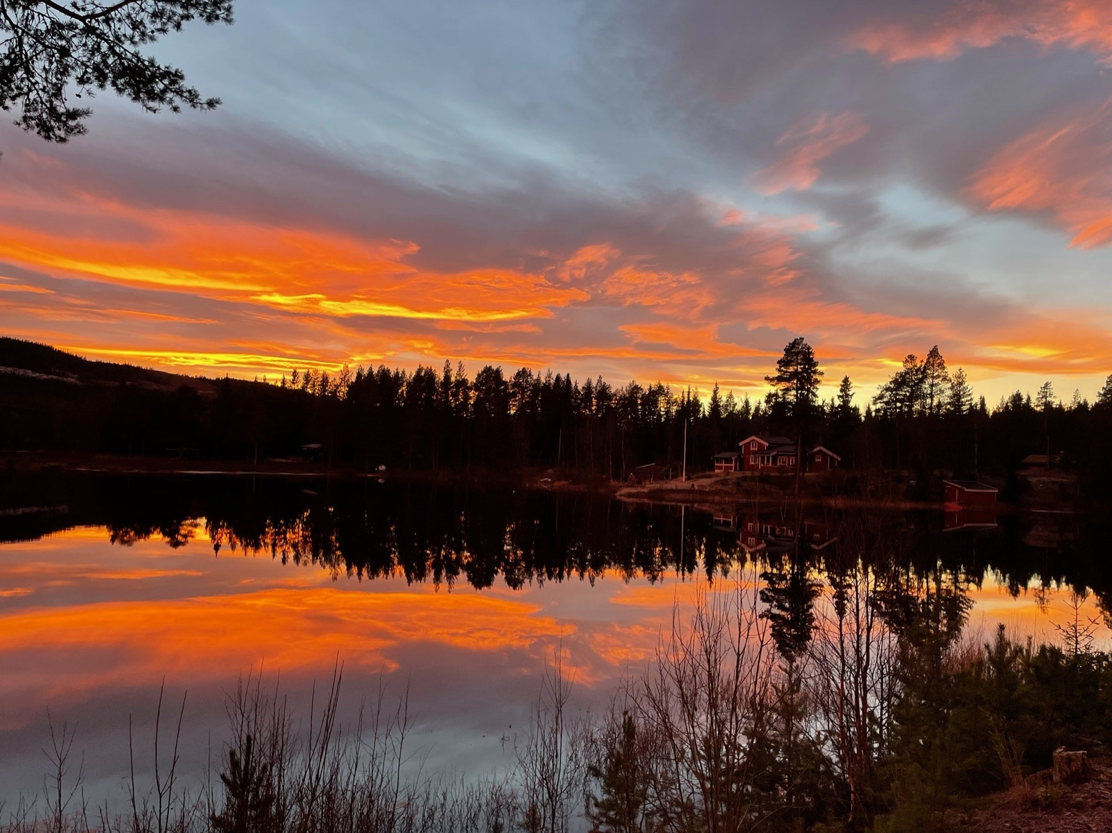 Vakker sensommerkveld på hytta Galleribilde