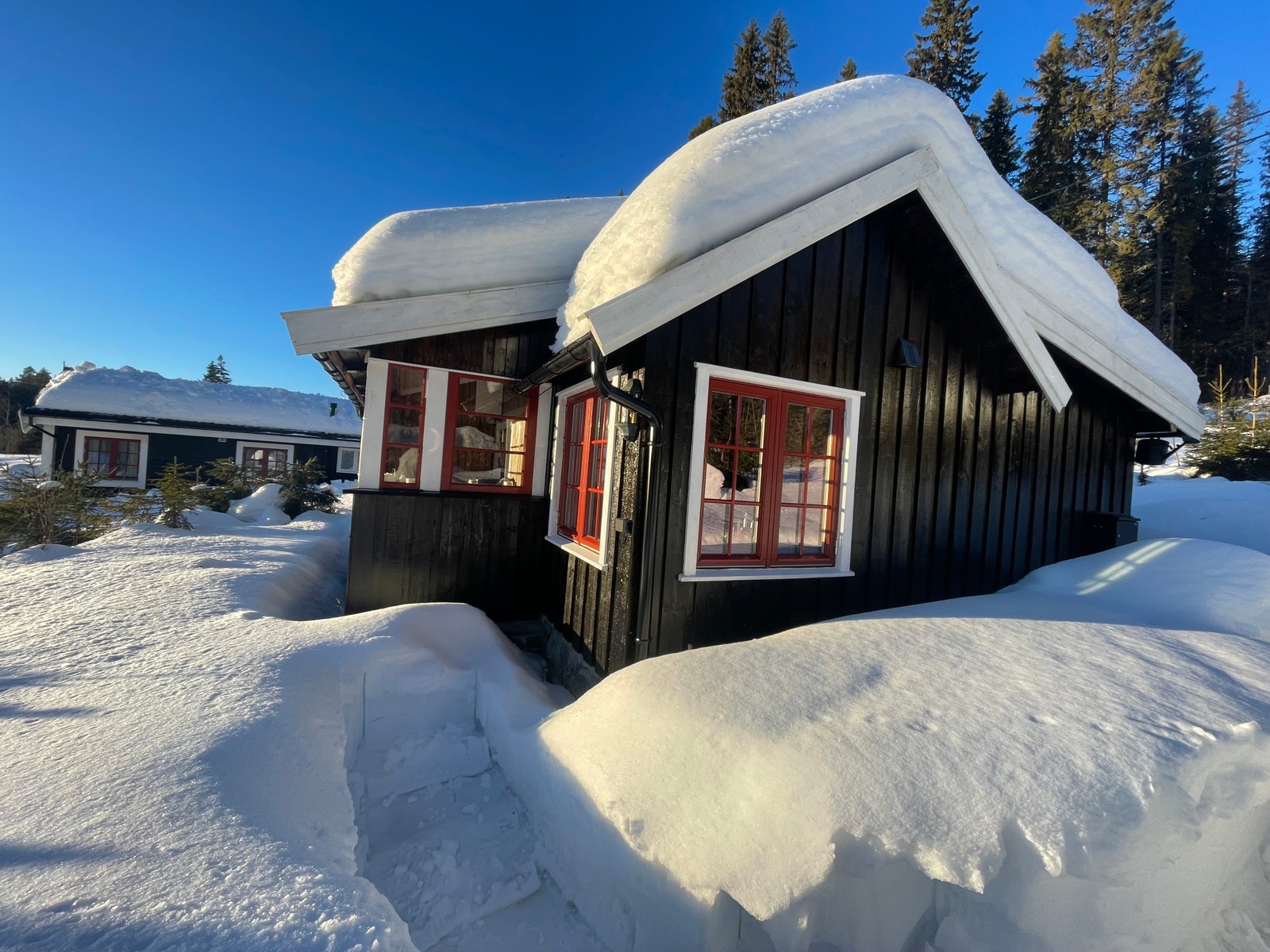 Snørikt med vårsol i solveggen Galleribilde