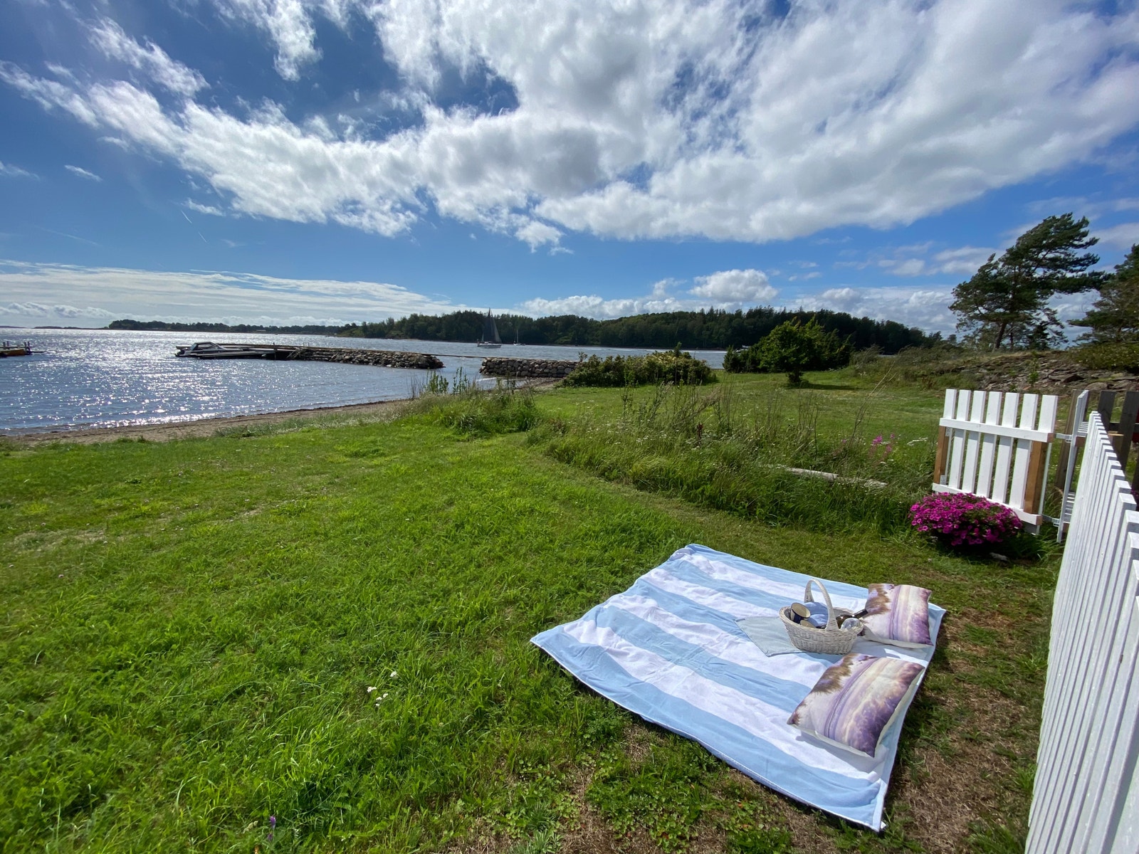 Sole muligheter rett nedenfor gjerdet Galleribilde