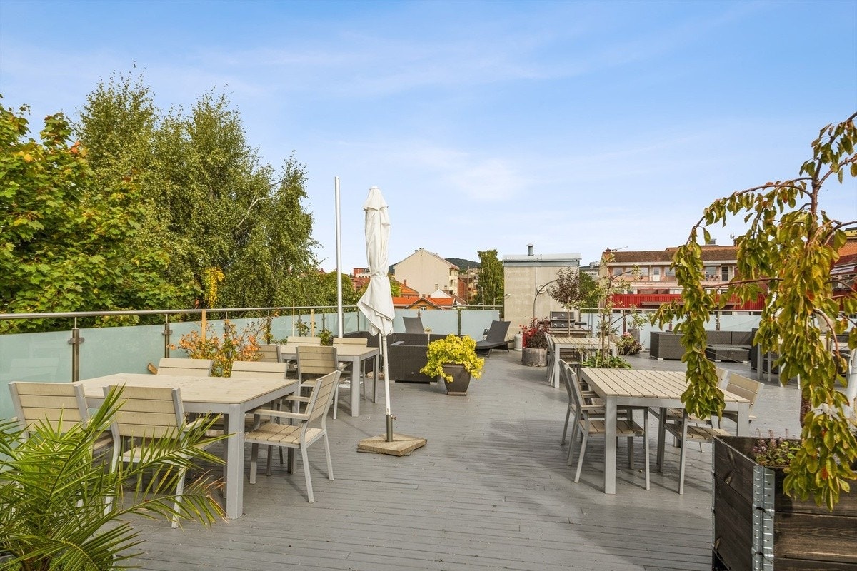 Felles takterasse Galleribilde