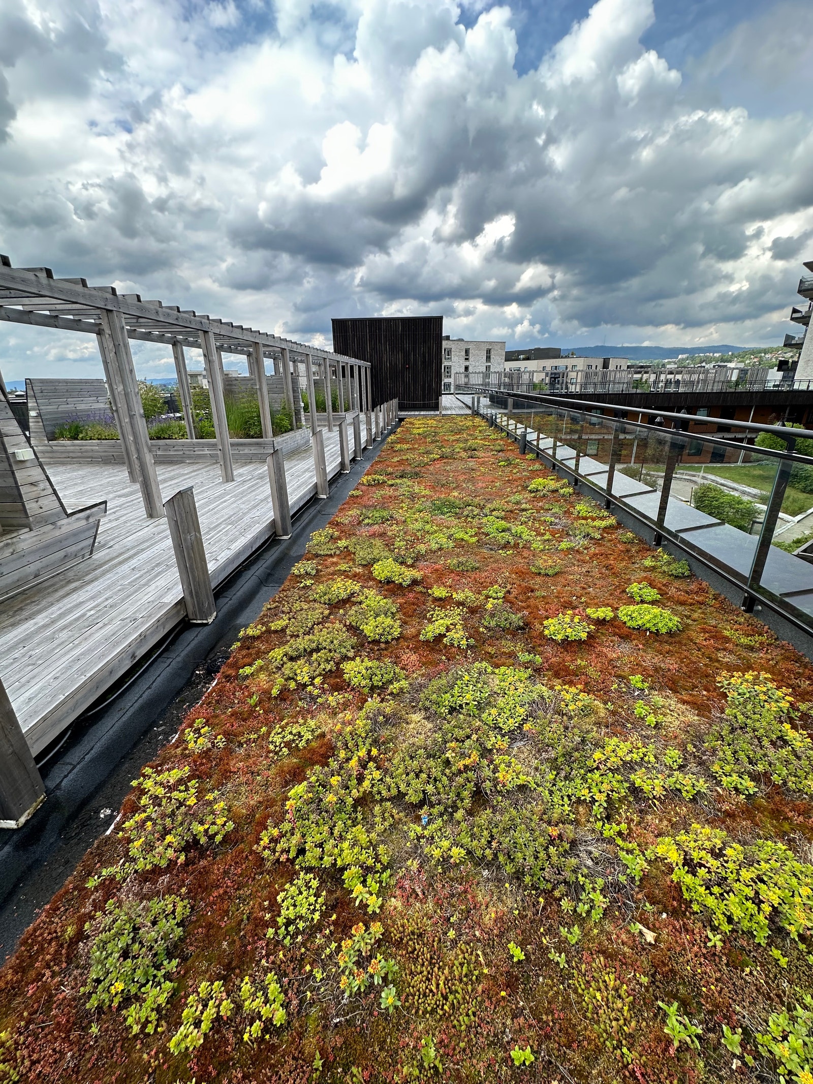 Takterrasse Galleribilde