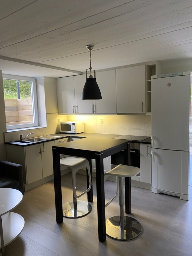 STUE/KJØKKEN_1 Galleribilde