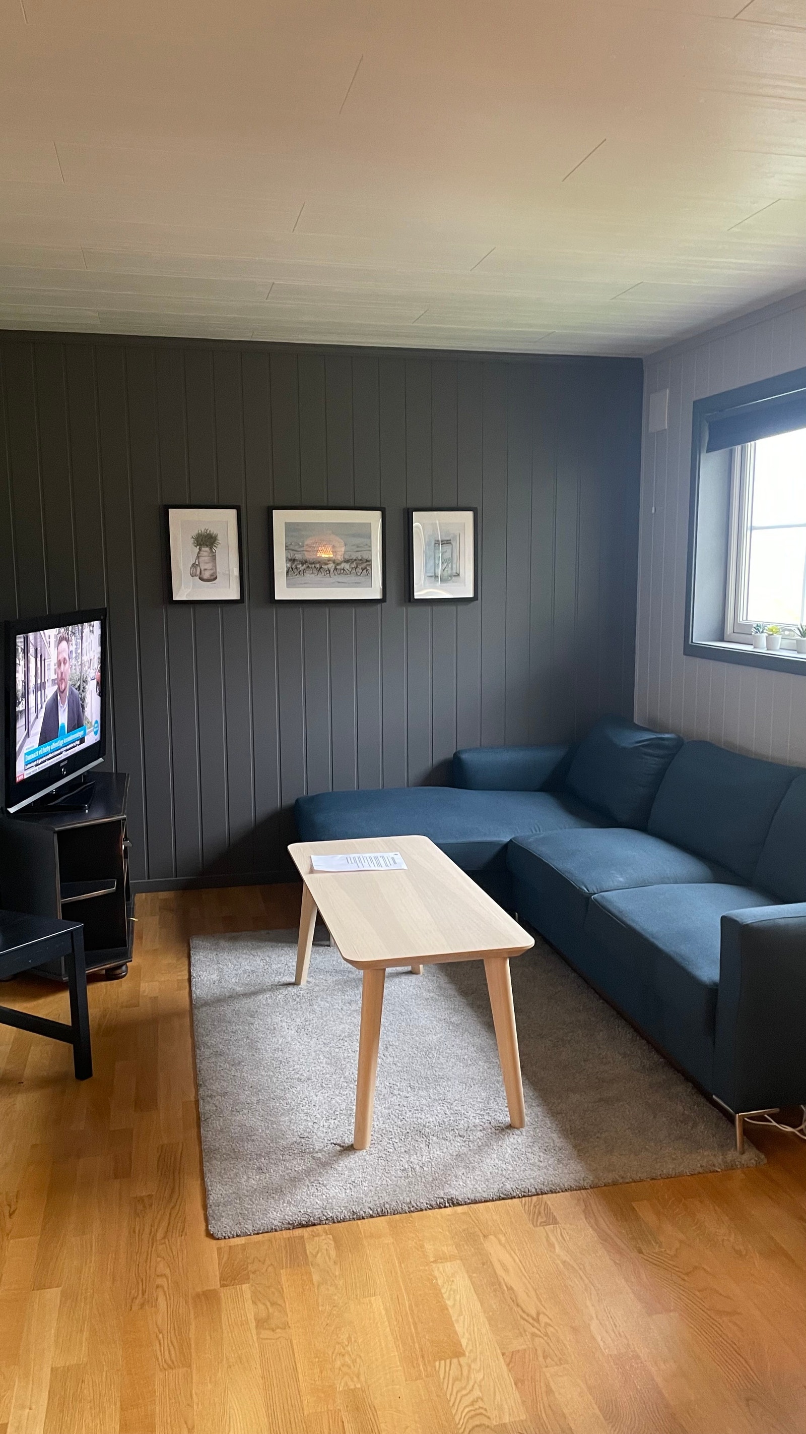 Sofakrok med TV Galleribilde