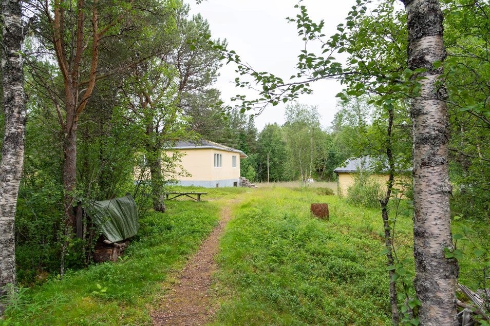 Tilfartsvei - Midt i naturen - Galleribilde