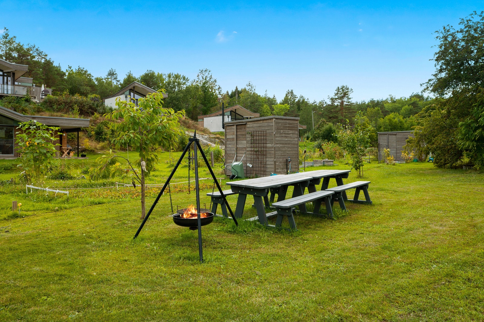 Bålplass-fellesområde. Galleribilde