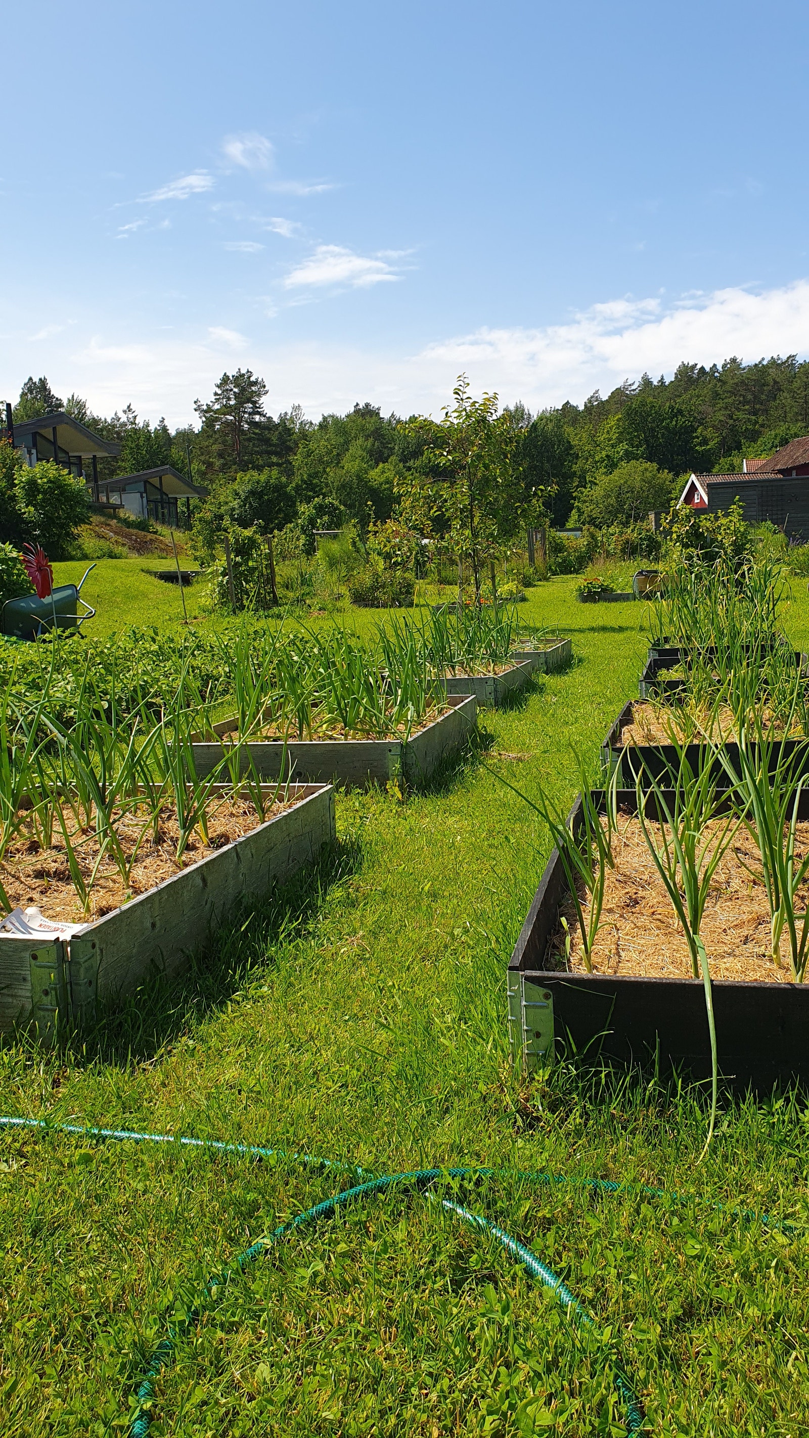 Pallekarmer med div. Galleribilde