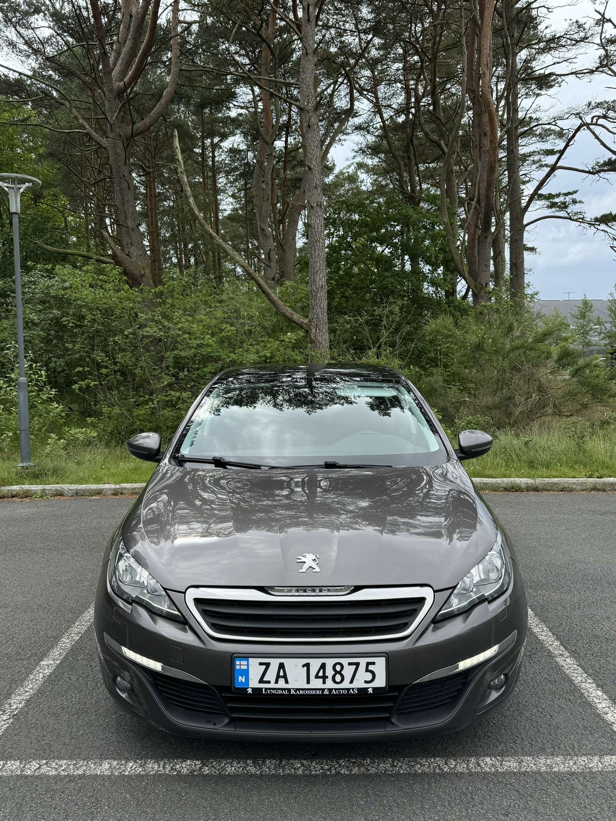 Peugeot 308 308 1.6-92 D