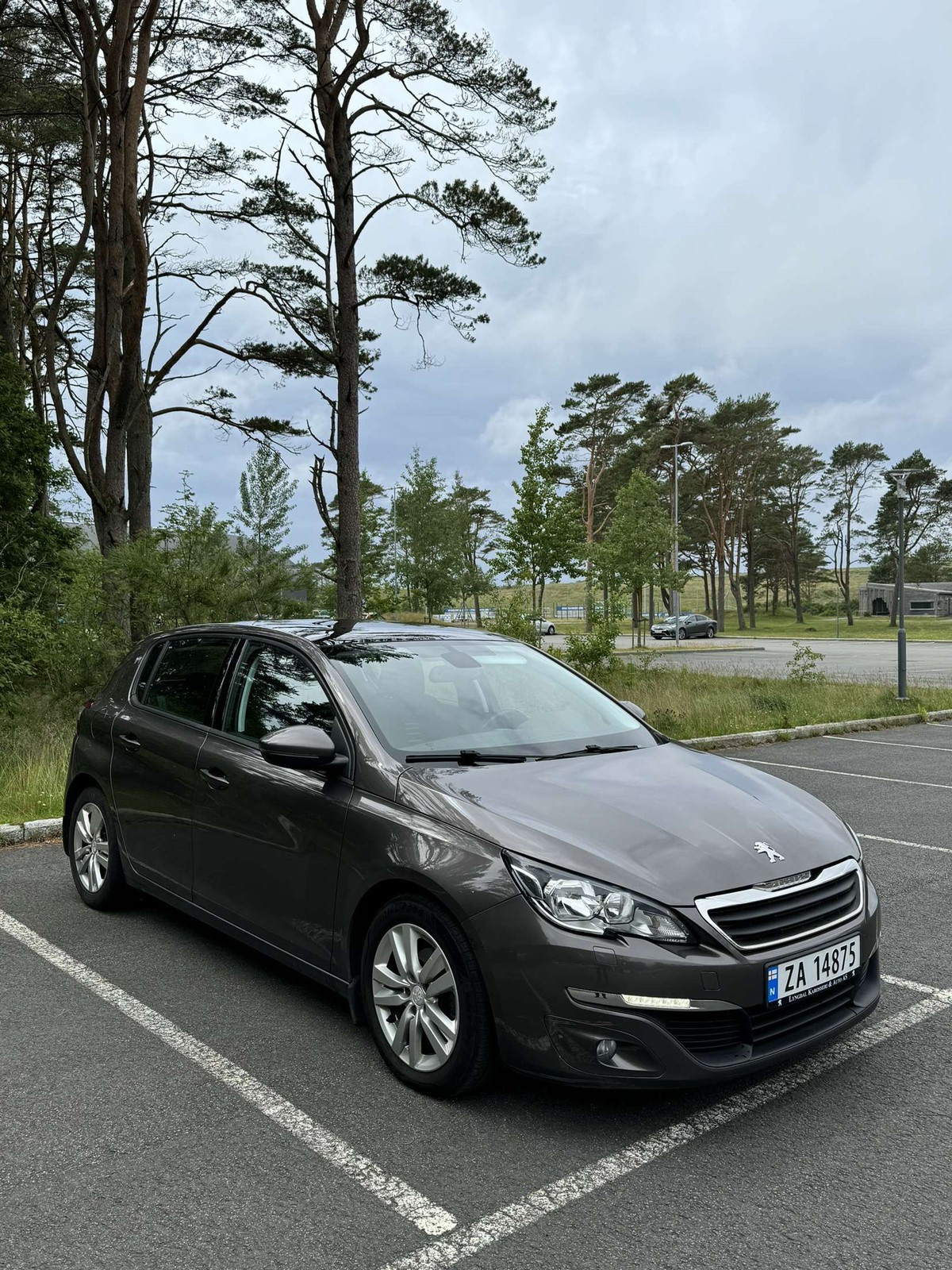 Peugeot 308 308 1.6-92 D 3