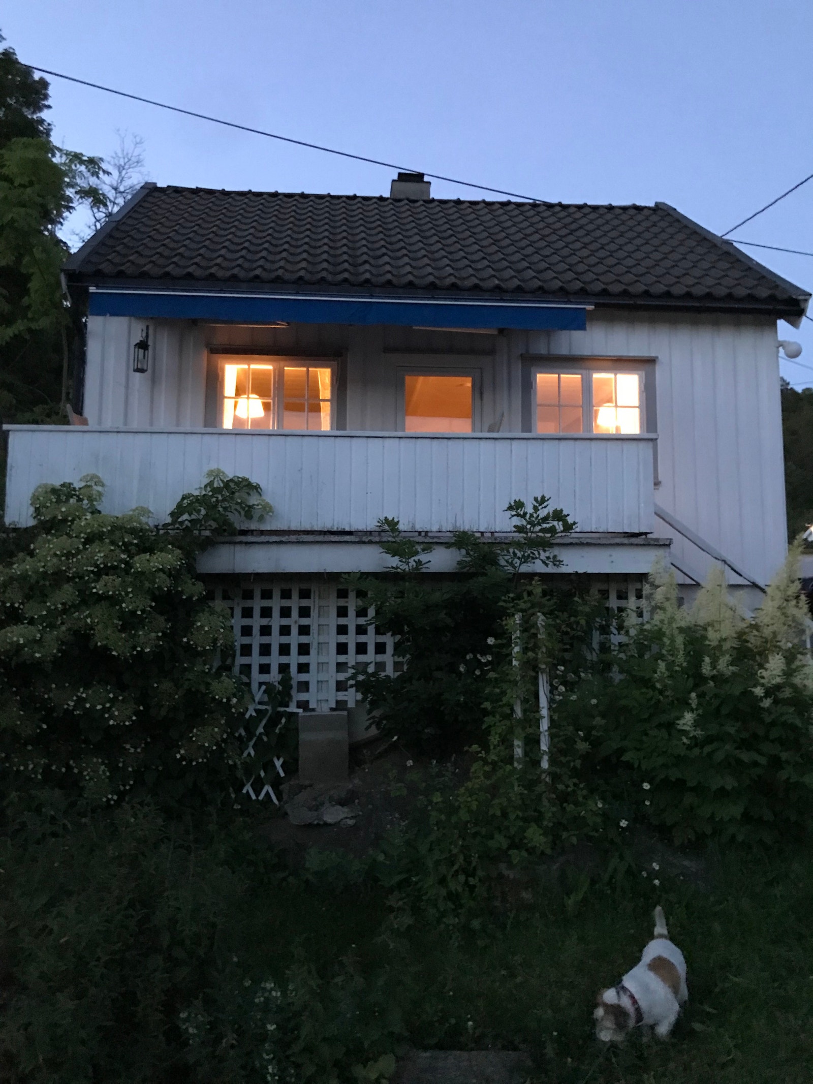 Hytta sett fra fjorden. Galleribilde