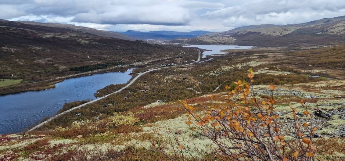 Utsikt fra Sjøberget Galleribilde