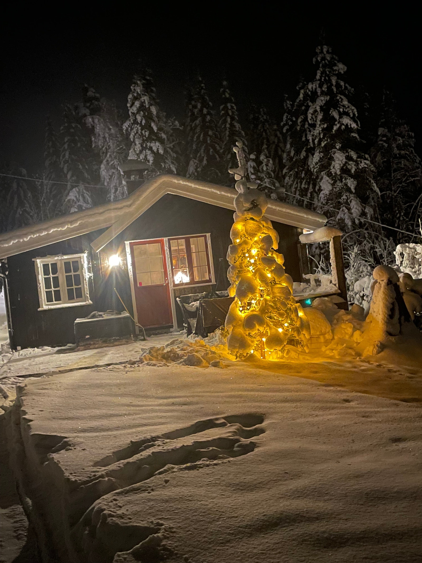 Snart Jul på Mesnasaga Galleribilde