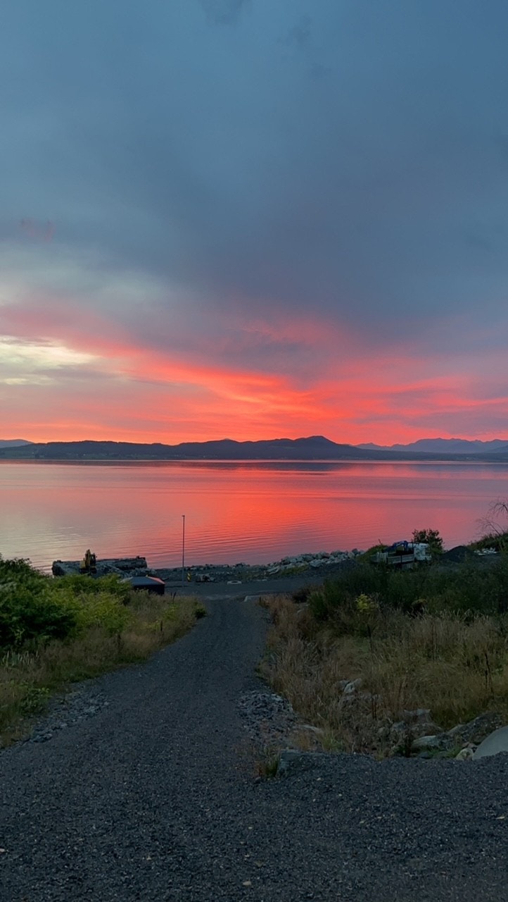 Godvær i vente Galleribilde